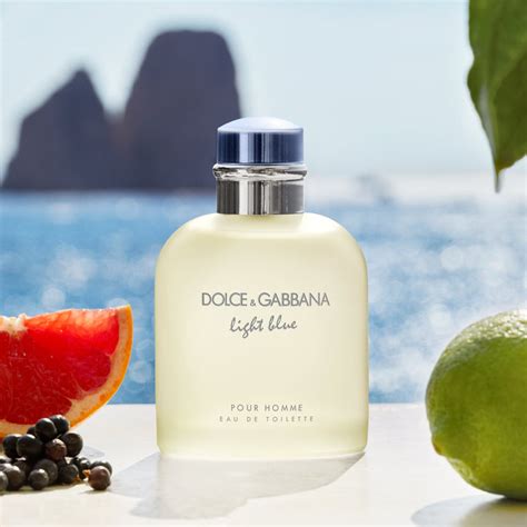 dolce & gabbana light blue pour homme fragrantica|d&g website.